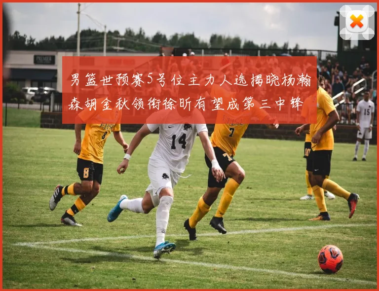 男篮世预赛5号位主力人选揭晓杨瀚森胡金秋领衔徐昕有望成第三中锋